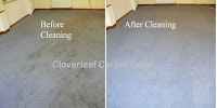 Cloverleaf Carpet Care 360502 Image 0